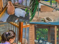 -青岛鑫江温德姆酒店