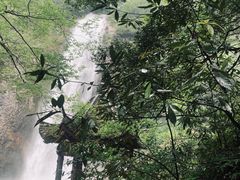 -燕子河大峡谷天坑仙境