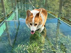 -陶祖圣境风景区