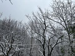 -秦岭终南山世界地质公园翠华山景区