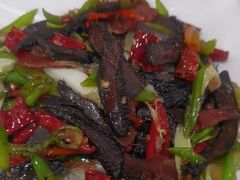 -蘑统田下·野生菌火锅