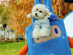 -ALDI奥乐齐超市(徐汇大木桥店)