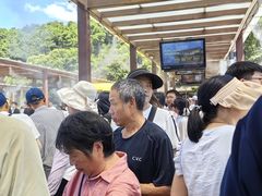 -普陀山风景名胜区-法雨禅寺