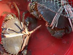 -南沙十九涌渔人码头-南门