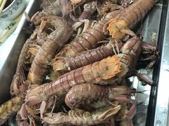 -渔民船说·北塘海鲜·天津菜·海肠捞饭(北塘古镇店)