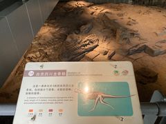 -自贡恐龙博物馆