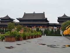 -大槐树寻根祭祖园