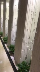 -紫颖·专业美胸·连锁养护中心