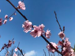 -白塘生态植物园