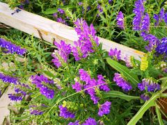 -敕勒川草原文化旅游区