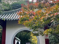 -中山公园