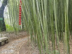 -竹泉村旅游度假区