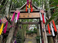 -西双版纳原始森林公园