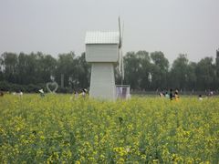 景点-北京东方普罗旺斯薰衣草庄园