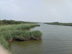 -西青郊野公园