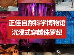 -正佳自然科学博物馆