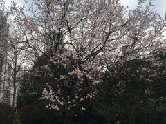 -苏州河梦清园环保主题公园