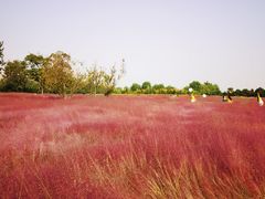 -汉长安城未央宫国家考古遗址公园