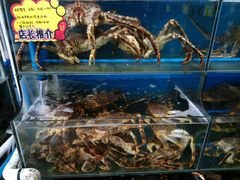 -蚝专家(北滘店)