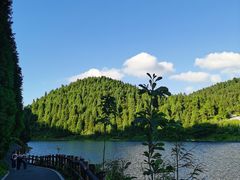 -武陵山森林公园