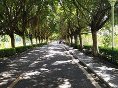 -风云岭森林公园