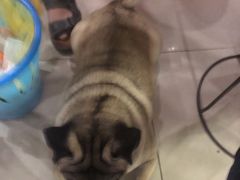 -双冰面馆(茶南店)