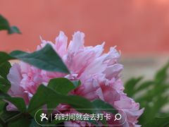 -北京市劳动人民文化宫(太庙)