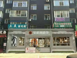 -东晨宝格丽品质造型