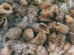 -鑫渔港海鲜本地菜·山海关浑锅(东戴河店)