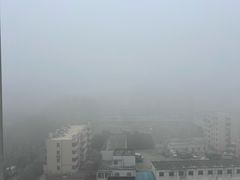 -云南巷海鲜大咖·可加工海鲜