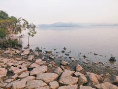 -深圳湾公园(南山区)