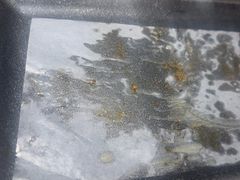 -管氏翅吧(护国寺店)