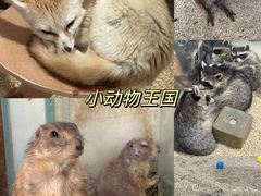 -海合安武汉极地海洋公园