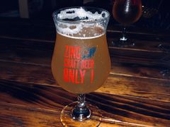 -ZING鲸鱼啤酒(葡萄院店)