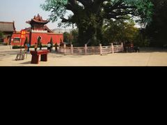 -大槐树寻根祭祖园