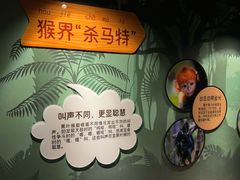 -武汉动物园