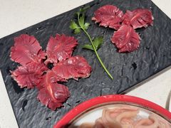 -红鼎坊·老成都火锅(新南门店)