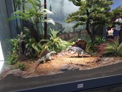 -浙江自然博物院(杭州馆)