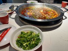 -蜀滋香鲜鱼美蛙火锅(339店)