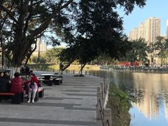 -大渡口区义渡公园