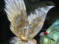 -淄博花灯齐彩城