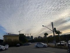 -无忧学车·大众驾校(长宁校区)