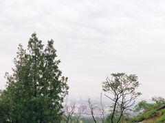 -白水寺森林公园