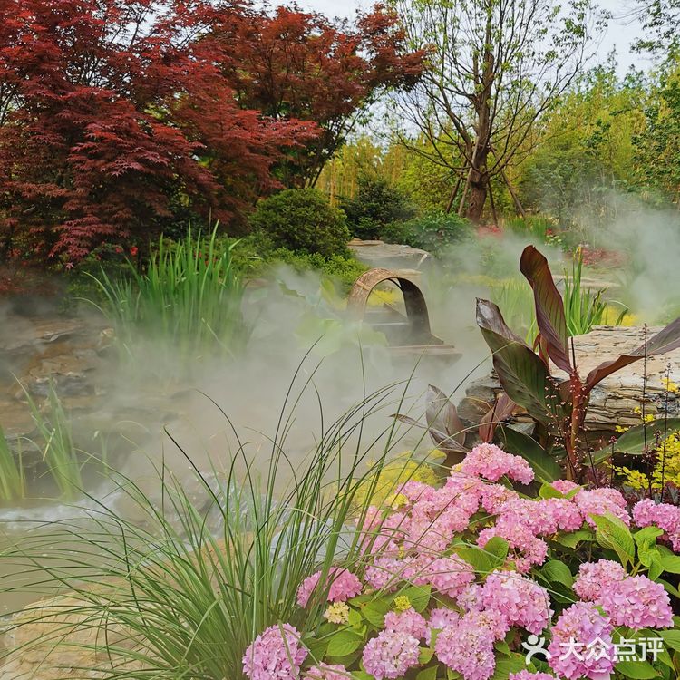 2021年第十届花博会在上海开幕啦❗❗