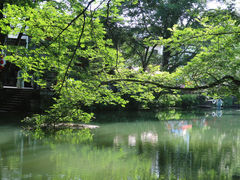 -西溪南古村落景区