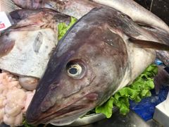 -船家渔(徐州北路店)