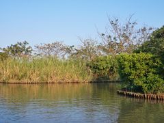-大湾区中央湿地公园