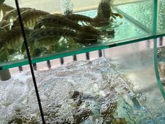 -凯华海鲜火锅·传承三十六年