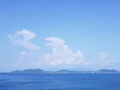 -杨梅坑