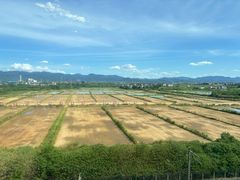 -唐记牛骨粉(陶溪川店)